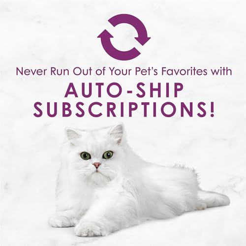 Purina Fancy Feast Savory Centers Wet Cat Food Pate Variety Pack With Chicken, Salmon, Beef, and Tuna Pate with Gravy Center - (2 Packs of 12) 3 oz. Pull-Top Cans