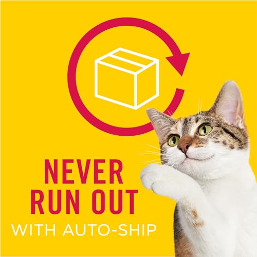 Purina Friskies Wet Cat Food Variety Pack, Tasty Treasures Prime Filets (With Chicken and Tuna, With Chicken, and With Ocean Fish and Tuna, and With Turkey) - (Pack of 24) 5.5 oz. Cans