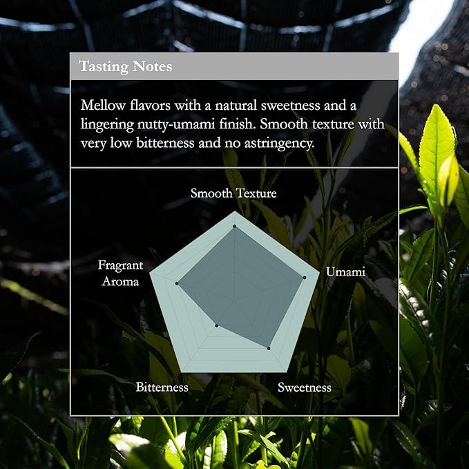 Naoki Matcha Superior Ceremonial Blend – Authentic Japanese First Harvest Ceremonial Grade Matcha Green Tea Powder from Uji, Kyoto (40g / 1.4oz)