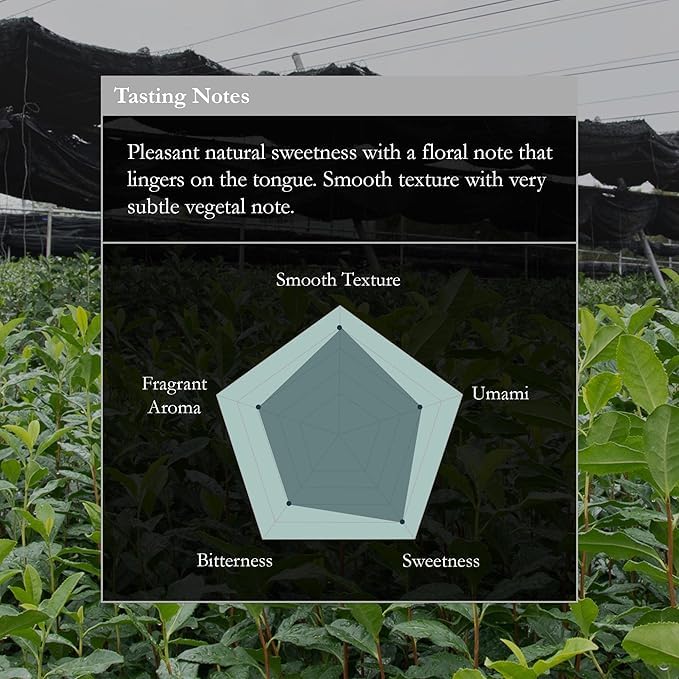 Naoki Matcha Superior Ceremonial Blend – Authentic Japanese First Harvest Ceremonial Grade Matcha Green Tea Powder from Uji, Kyoto (40g / 1.4oz)