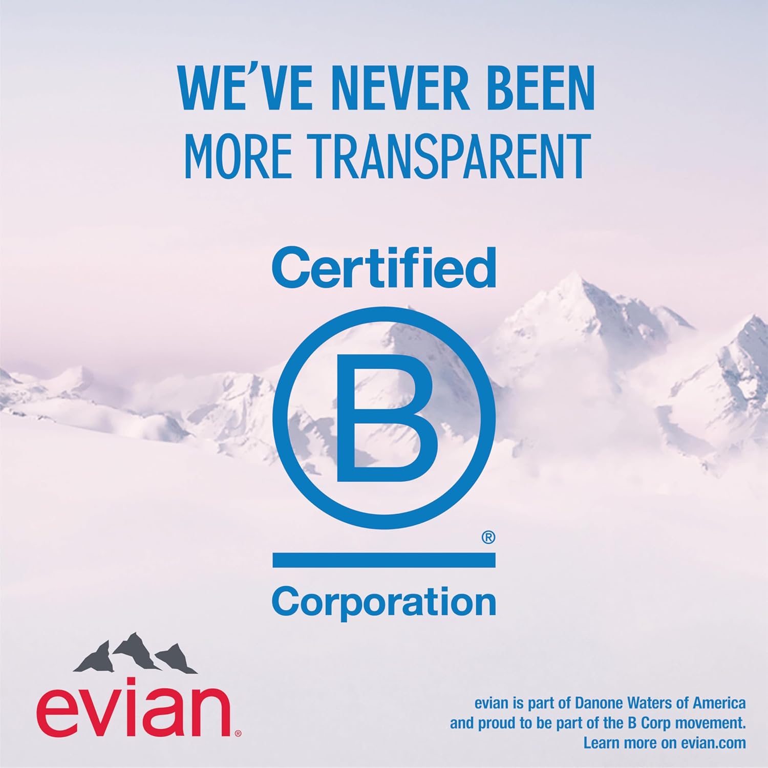 Evian Natural Spring Water, 1 L bottle, 12 pack