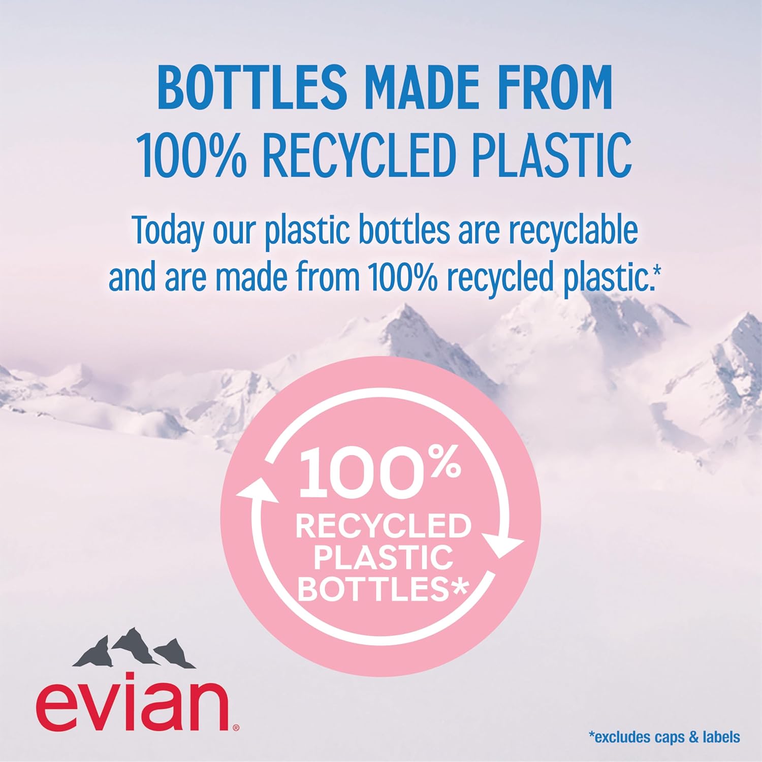 Evian Natural Spring Water, 1 L bottle, 12 pack