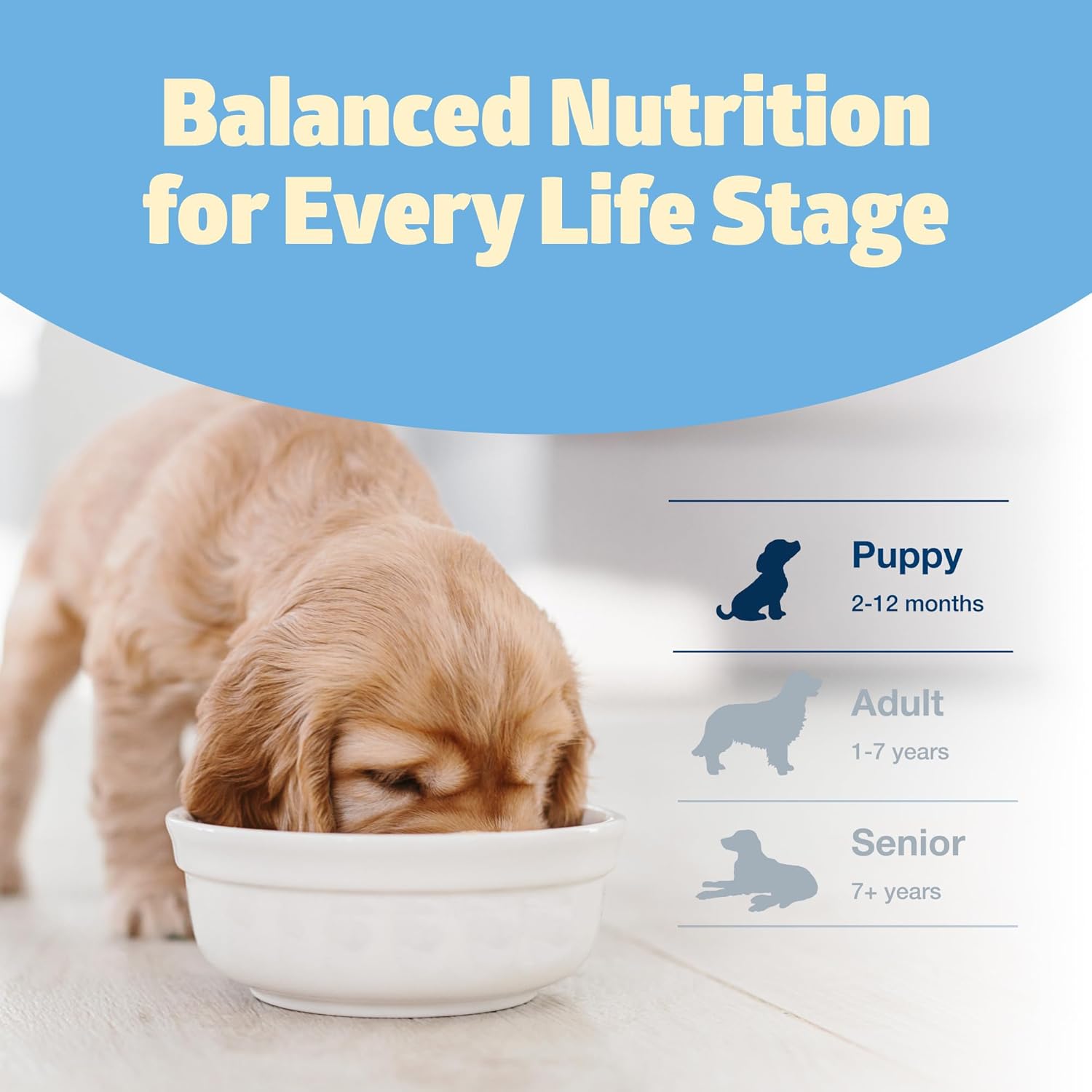 Blue Buffalo Freedom Grain-Free Puppy Dry Dog Food with DHA, Complete & Balanced Nutrition for Puppies, Made in The USA with Natural Ingredients, Chicken & Potatoes, 4-lb Bag