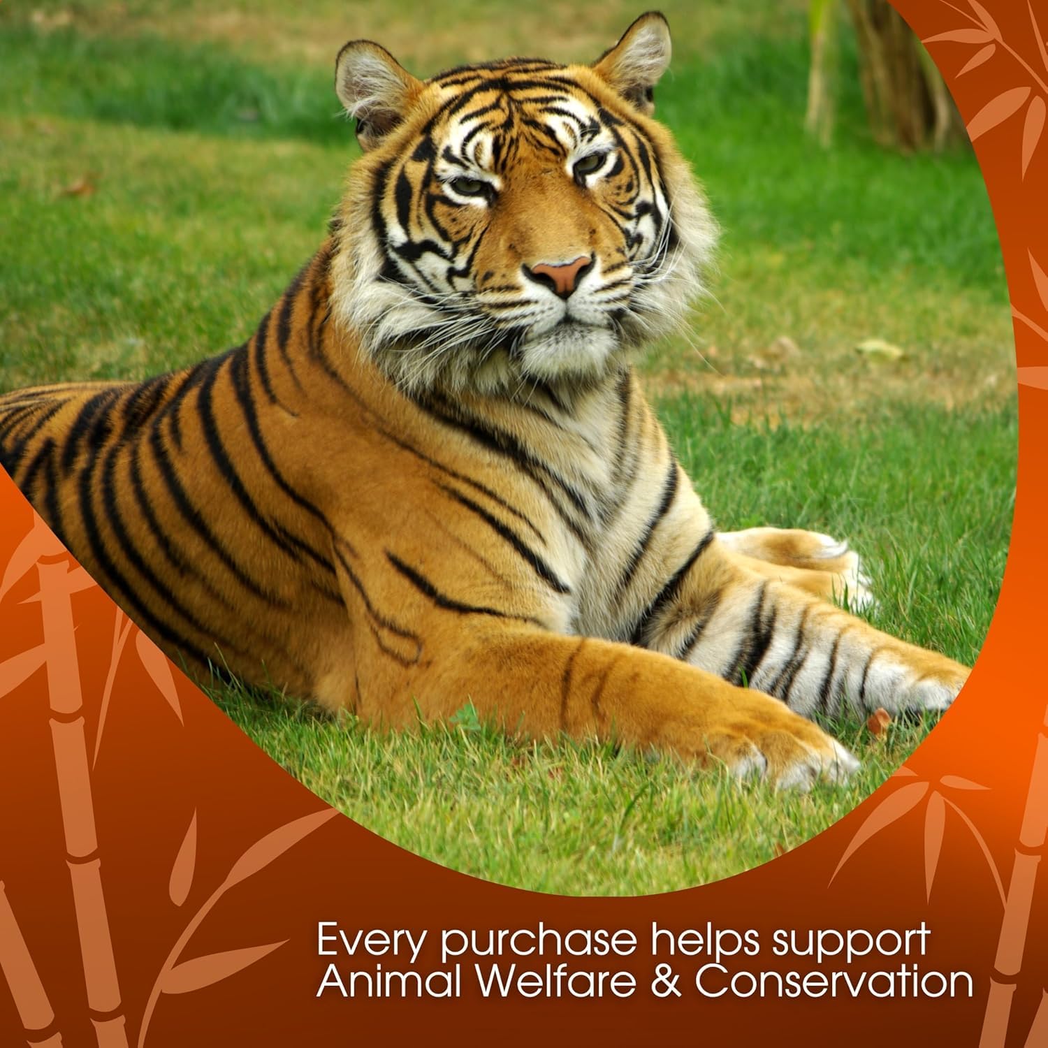 David Rio Food Service Bag Tiger Spice Chai, 1 Pack (1 x 1.8 kg)