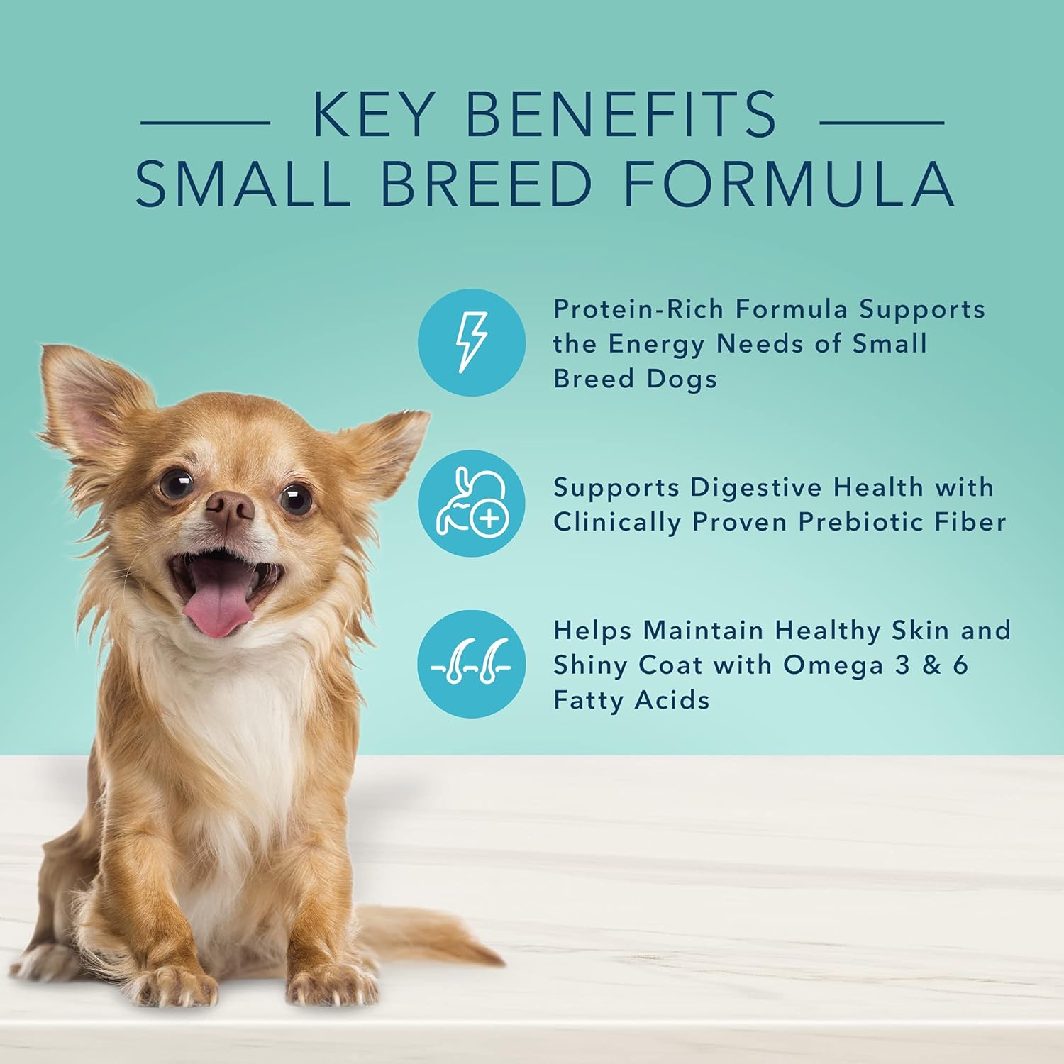 Blue Buffalo True Solutions Small & Mighty Natural Wet Food for Adult Small Breed Dogs, Chicken, 5.5-oz cans (24 Count)