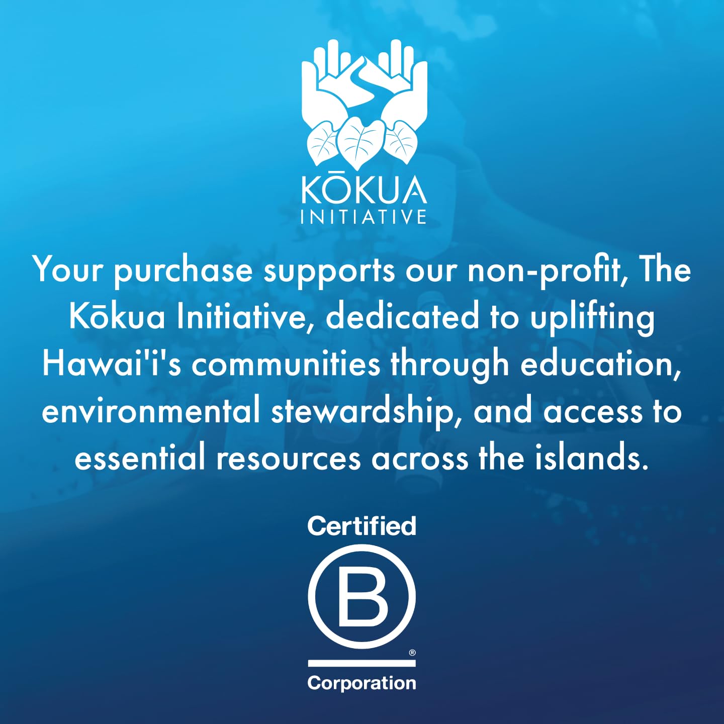 Waiakea Hawaiian Volcanic Water, Naturally Alkaline, 100% Recycled Bottle, 1L (Pack of 12), 33.8 Fl Oz (Pack of 12)