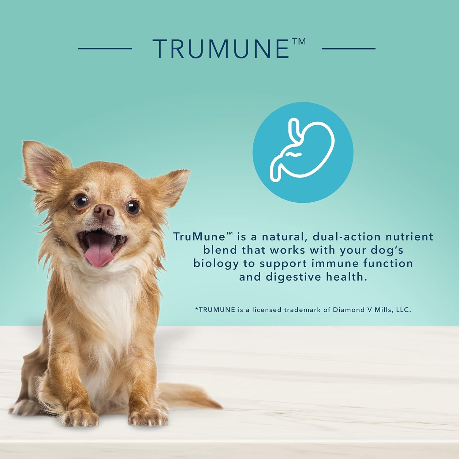 Blue Buffalo True Solutions Small & Mighty Natural Wet Food for Adult Small Breed Dogs, Chicken, 5.5-oz cans (24 Count)