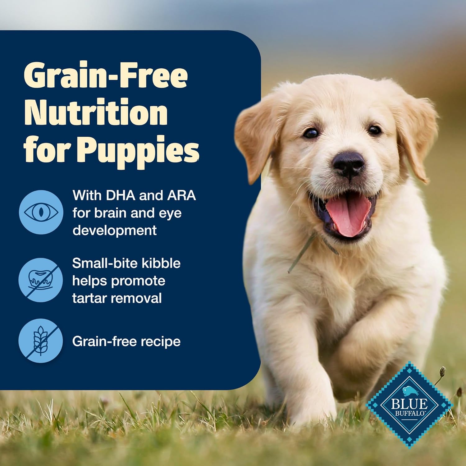 Blue Buffalo Freedom Grain-Free Puppy Dry Dog Food with DHA, Complete & Balanced Nutrition for Puppies, Made in The USA with Natural Ingredients, Chicken & Potatoes, 4-lb Bag