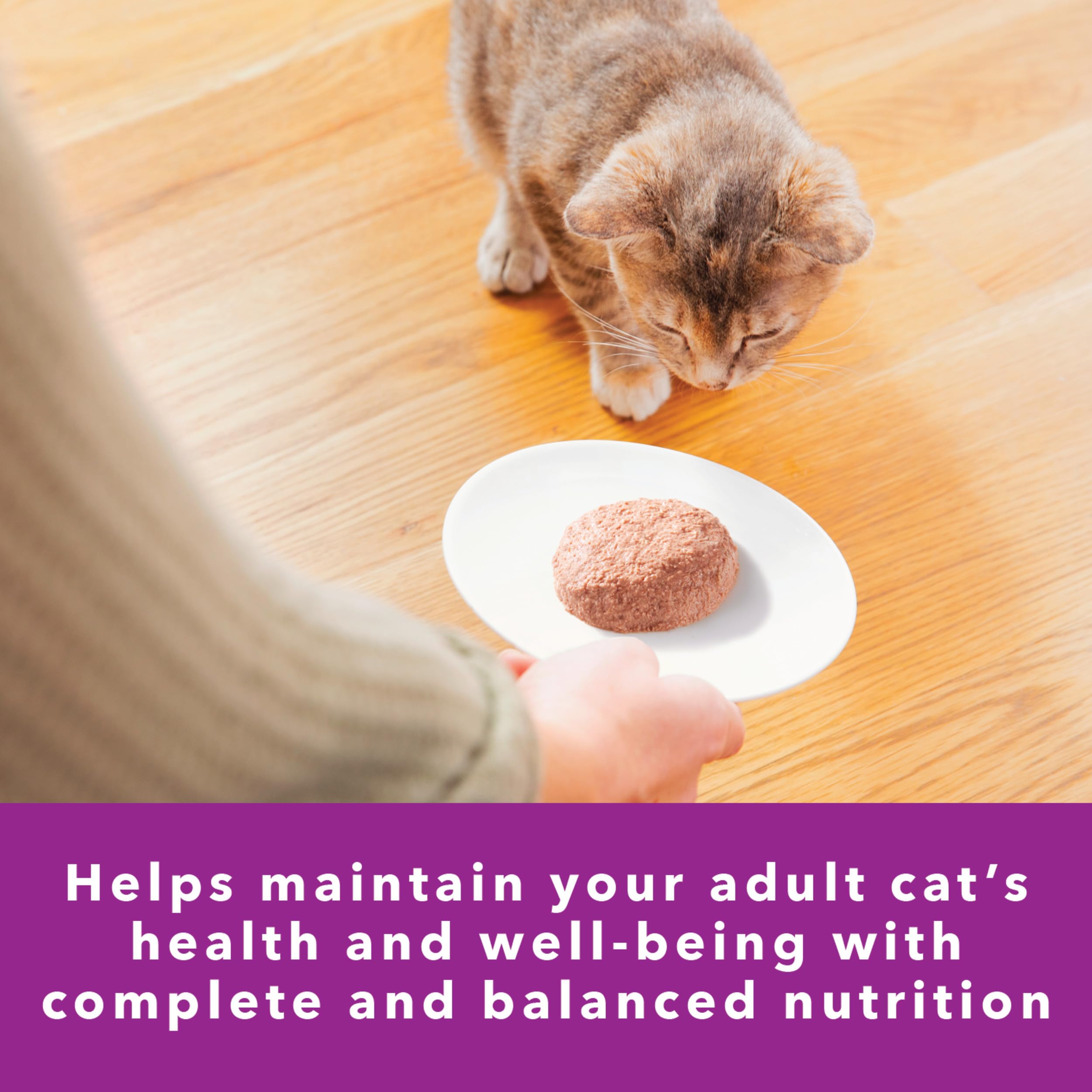 IAMS Perfect Portions Healthy Adult Wet Cat Food Pate, Chicken and Tuna Recipe Variety Pack, Easy Peel Twin-Pack Trays (12 Count, 24 Servings) (Pack of 2)