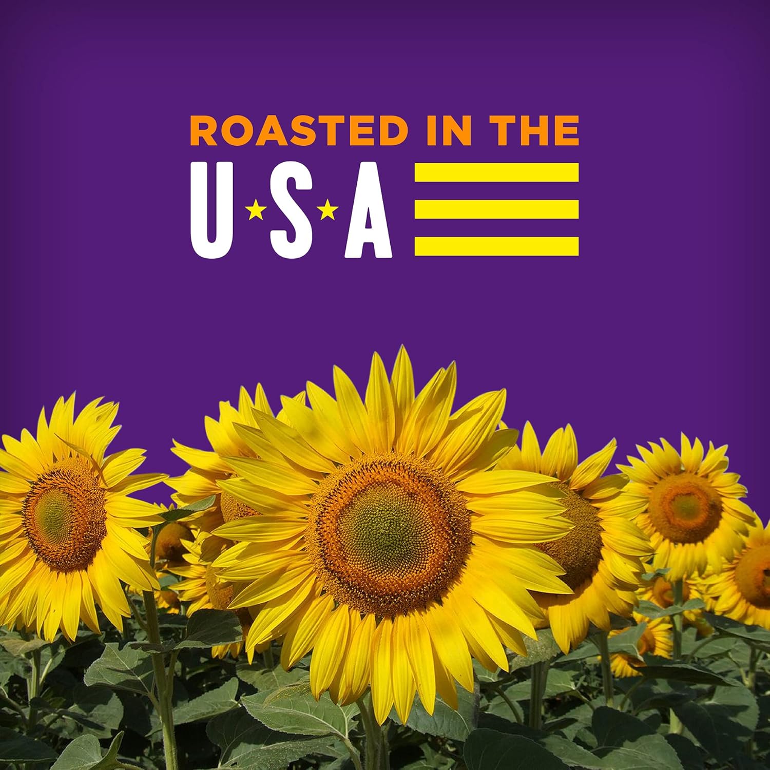 BIGS Sunflower Seeds, Taco Bell Taco Supreme Flavor, 5.35 oz. (Pack of 12)