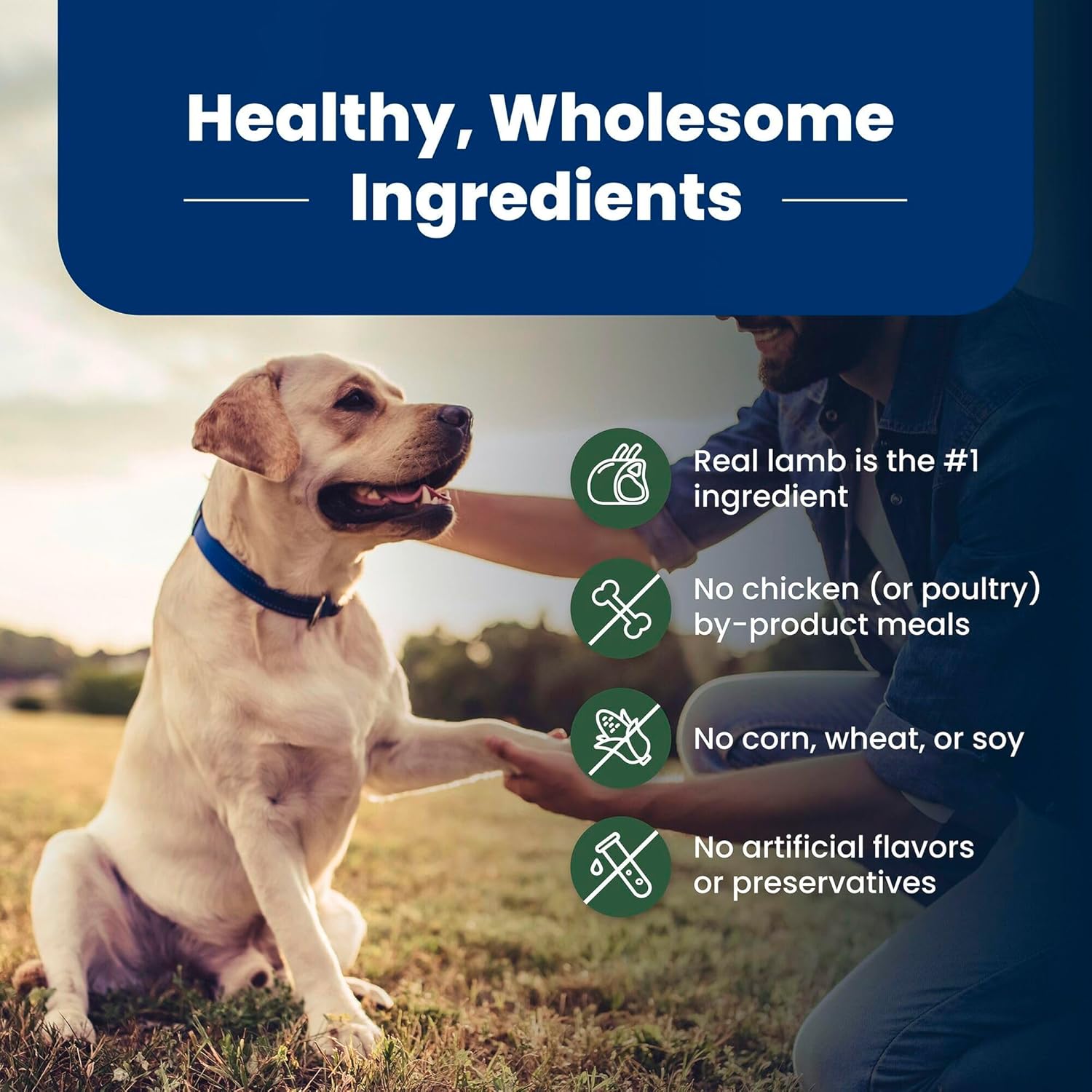 Blue Buffalo Life Protection Formula with LifeSource Bits, Senior 7+ Dry Dog Food, Lamb and Brown Rice Recipe, Natural Food for Dogs, 30 lb. Bag