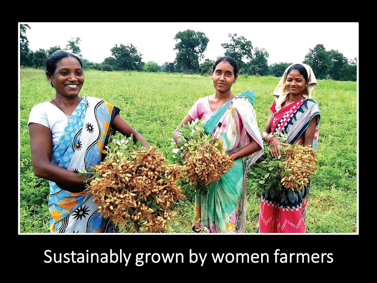 Daana Peanut Oil: CERTIFIED USDA ORGANIC, EXTRA VIRGIN, COLD PRESSED (34 Fl oz)