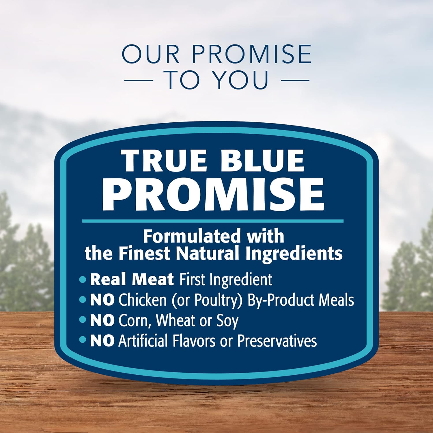 Blue Buffalo Wilderness Adult Wet Dog Food, High-Protein & Grain-Free, Made with Natural Ingredients, Beef & Chicken Grill, 12.5-oz. Cans, 12 Count