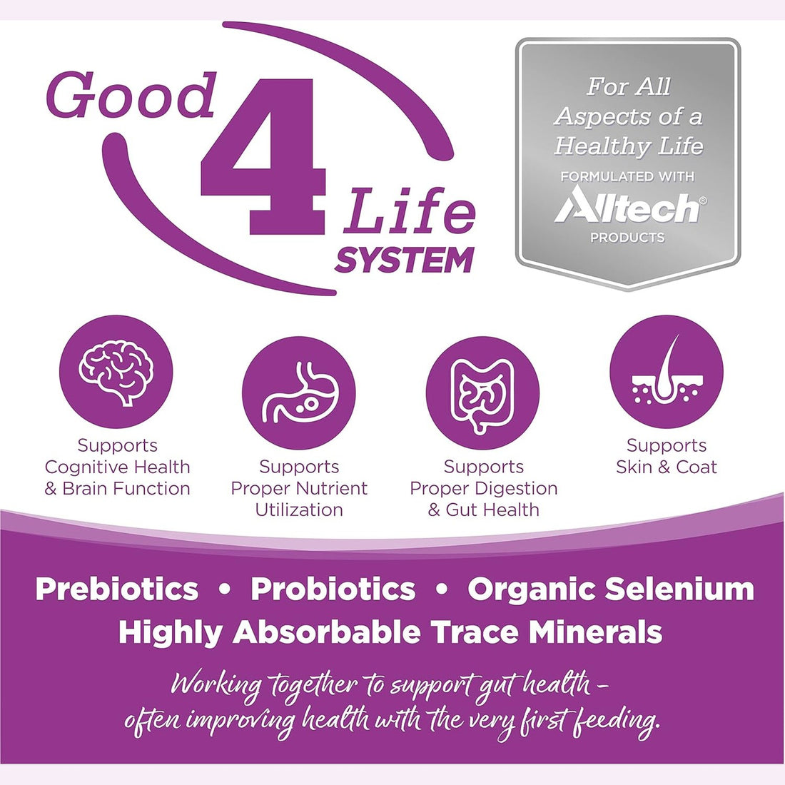 NutriSource Puppy Food for Large Breeds, Chicken and Rice, 26LB