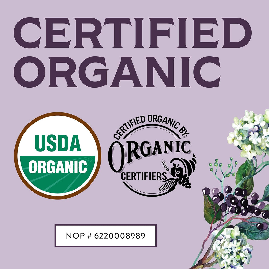 Certified USDA - 100% Organic Dried Elderberries - 1lb Bulk - Non-Irradiated, Non-GMO, Wild Harvest, Whole Black Elderberry Immune Support - Raw Vegan Sambucus 1 Pound