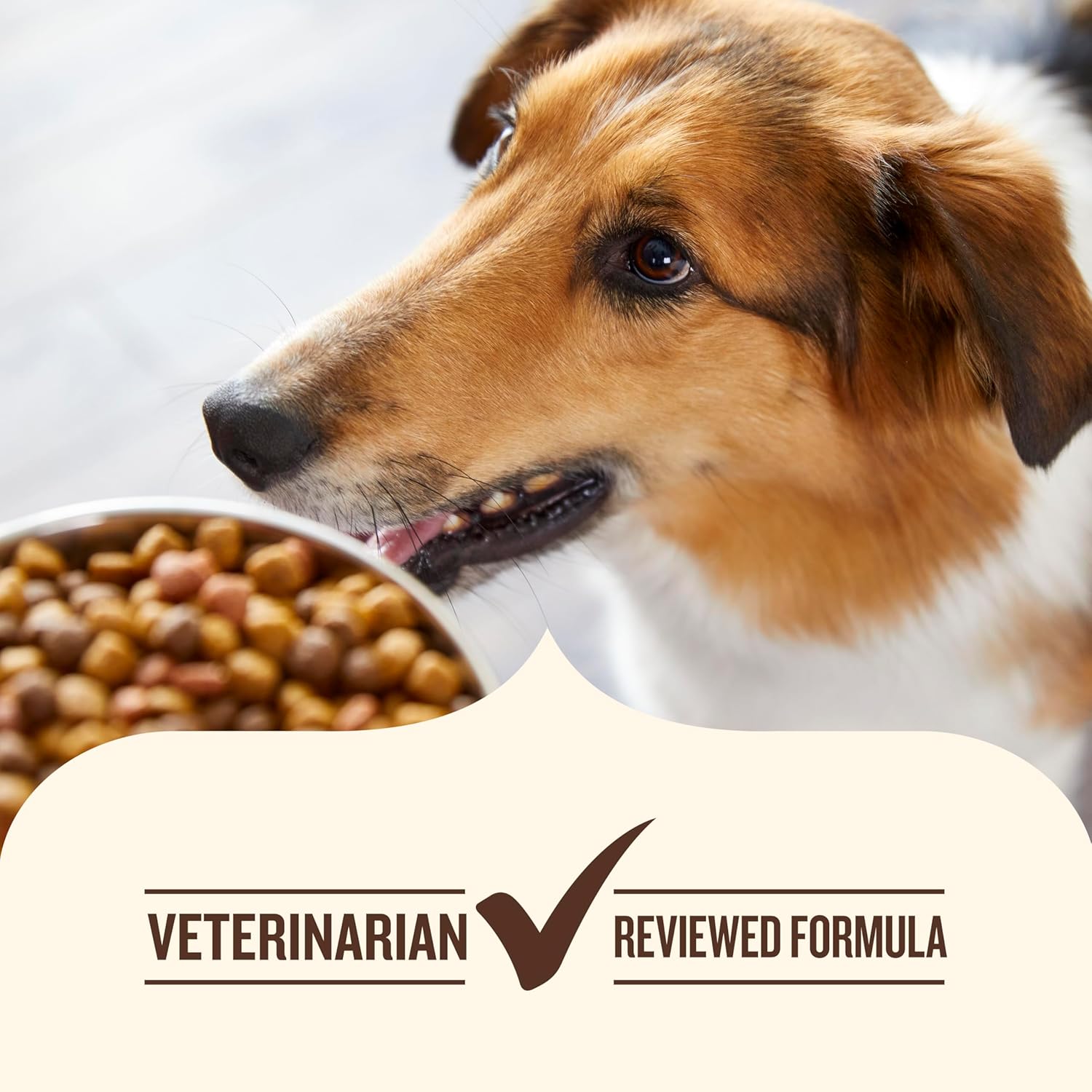 Rachael Ray Nutrish Dish Dry Dog Food Beef & Brown Rice Recipe With Veggie & Fruit Blend, 23 lb. Bag