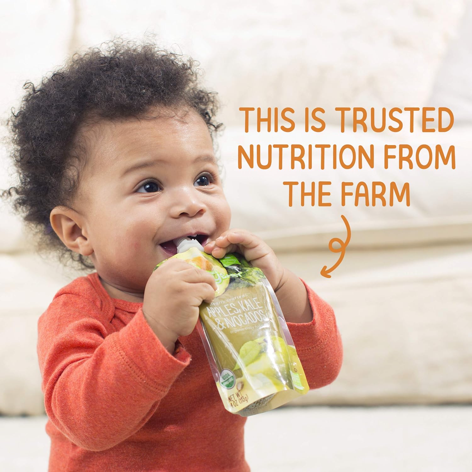 Happy Baby Organics Clearly Crafted Stage 1 Baby Food Pouches, Prunes, 3.5 Ounce Pouch (Pack of 16)