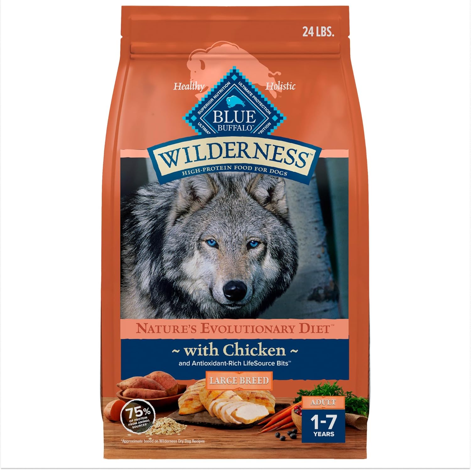 Blue Buffalo Wilderness Natural High-Protein Dry Food for Adult Dogs, with Wholesome Grains, Salmon, 28-lb Bag.