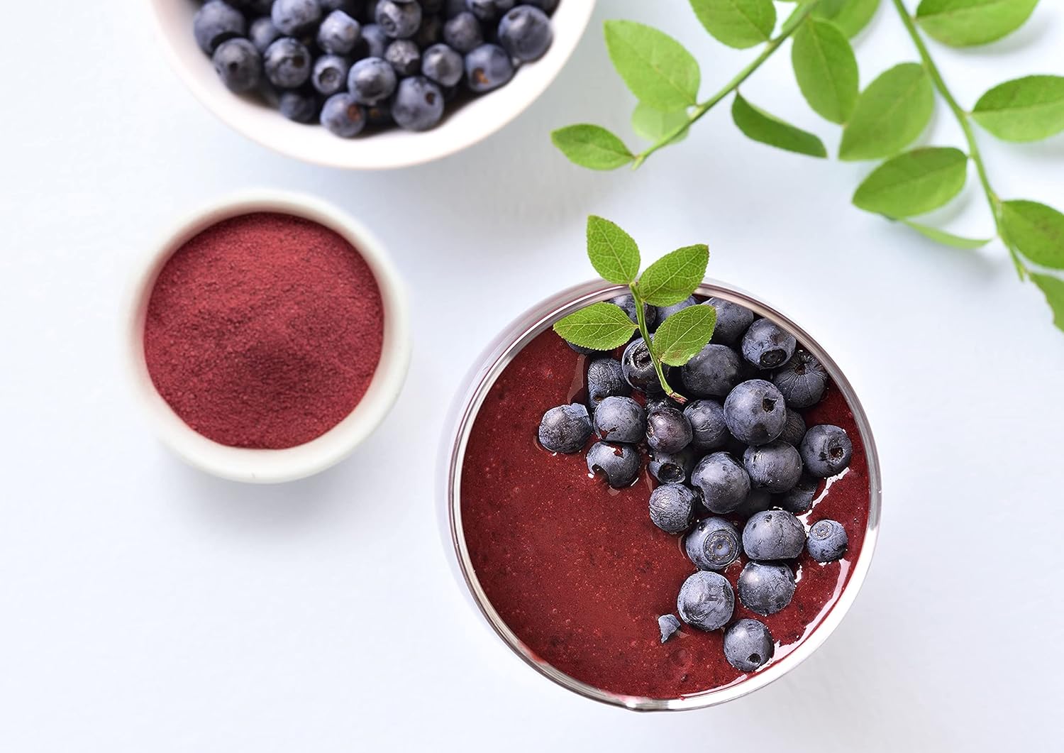 Food to Live Organic Blueberry Powder, 1 Pound - Non-GMO, Unsulfured, Raw, Vegan, Bulk, Great for Juices, Smoothies, and Instant Breakfast Drinks, Contains Maltodextrin, No Sulphites