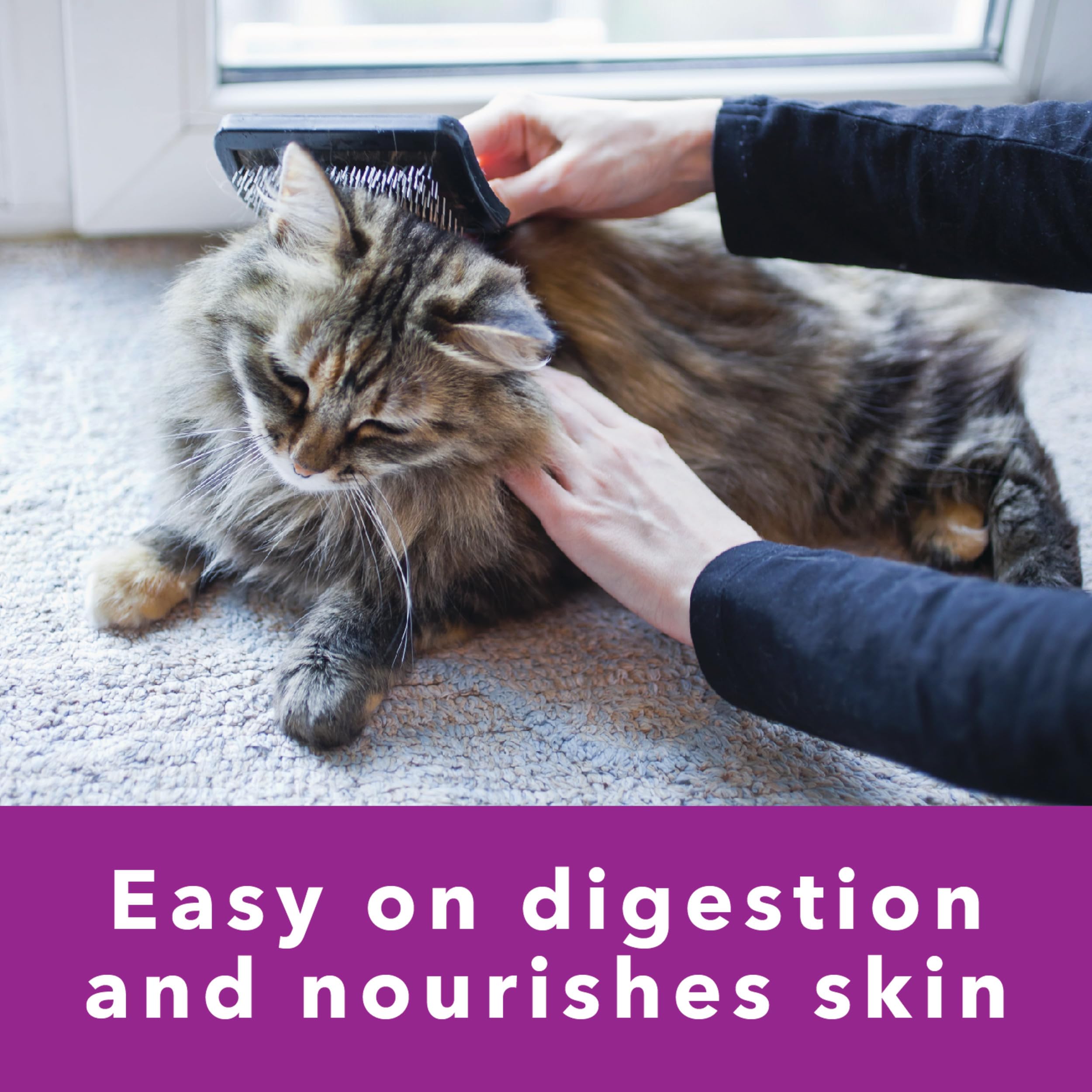 IAMS Perfect Portions Healthy Adult Wet Cat Food Pate, Chicken and Tuna Recipe Variety Pack, Easy Peel Twin-Pack Trays (12 Count, 24 Servings) (Pack of 2)