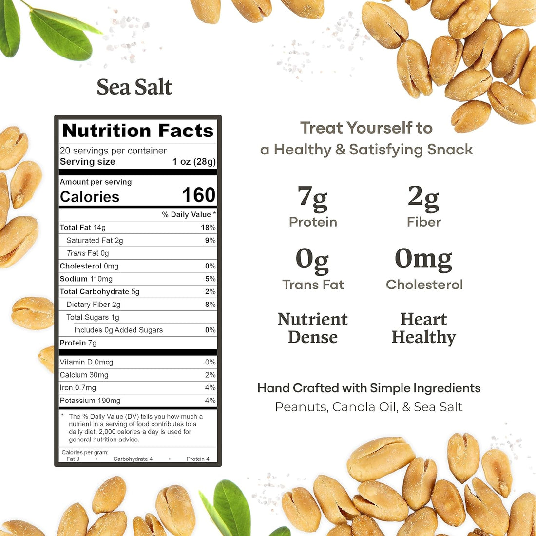 Belmont Peanuts Gourmet Sea-Salted Virginia Peanuts, 20 oz (1 Pack) – Only 3 Simple Ingredients, No Preservatives, 7g Protein – A Premium, Salty, Crunchy, Hand Seasoned Snack