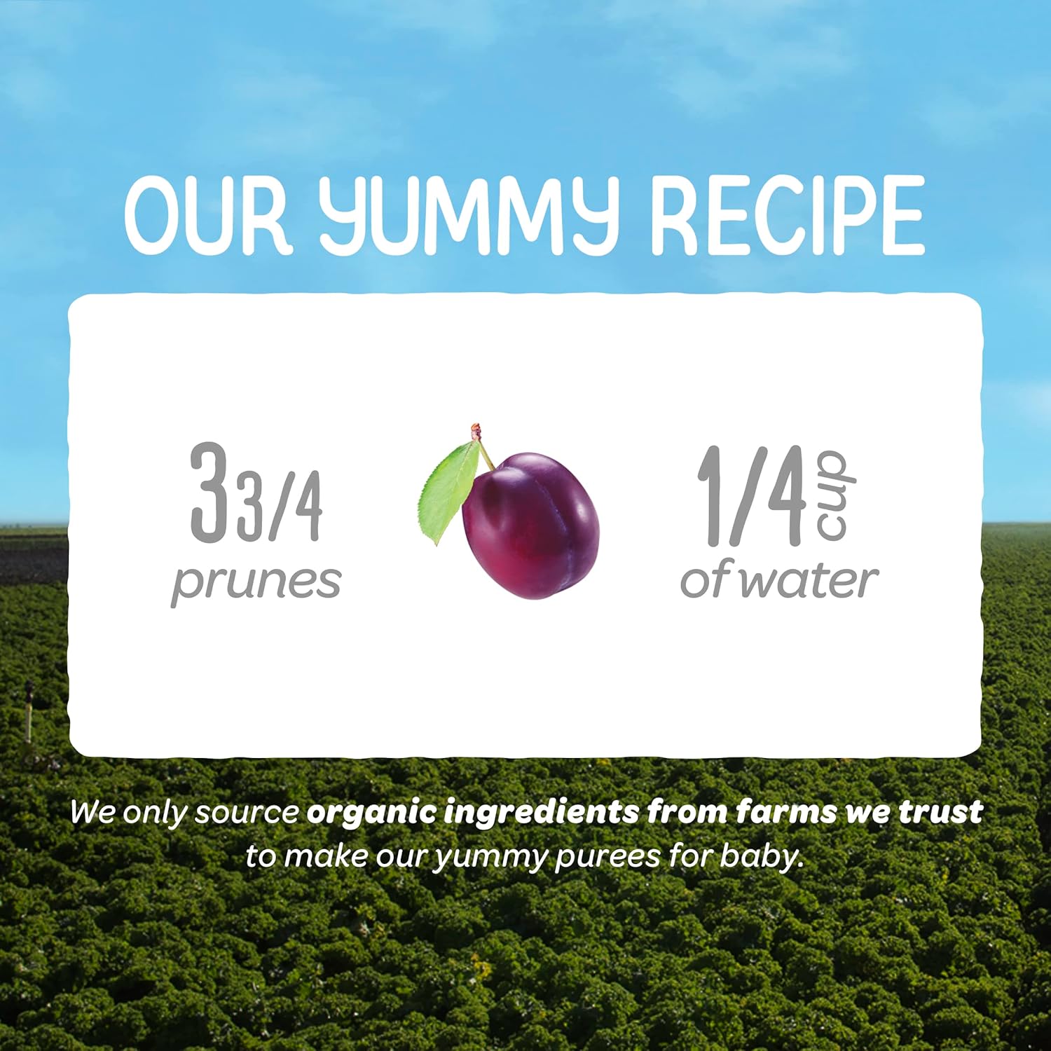 Happy Baby Organics Clearly Crafted Stage 1 Baby Food Pouches, Prunes, 3.5 Ounce Pouch (Pack of 16)