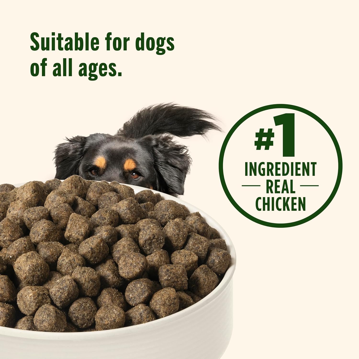 Nutrish Grain Free Chicken & Sweet Potato Recipe Dry Dog Food, 13 lb. Bag, Packaging May Vary (Rachael Ray)