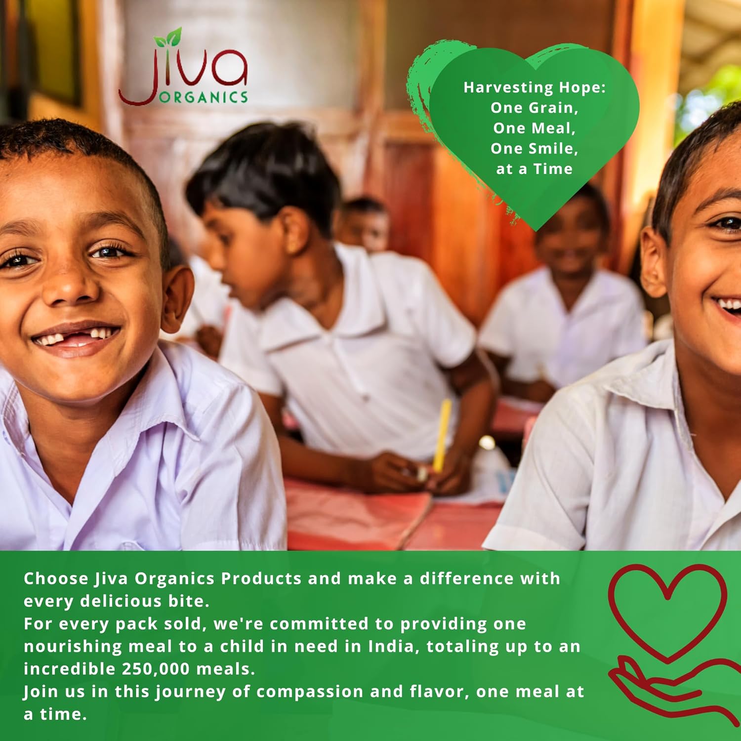 Organic Basmati Rice 10 LB Bag - Pure, Long, Premium Quality from India - by Jiva Organics