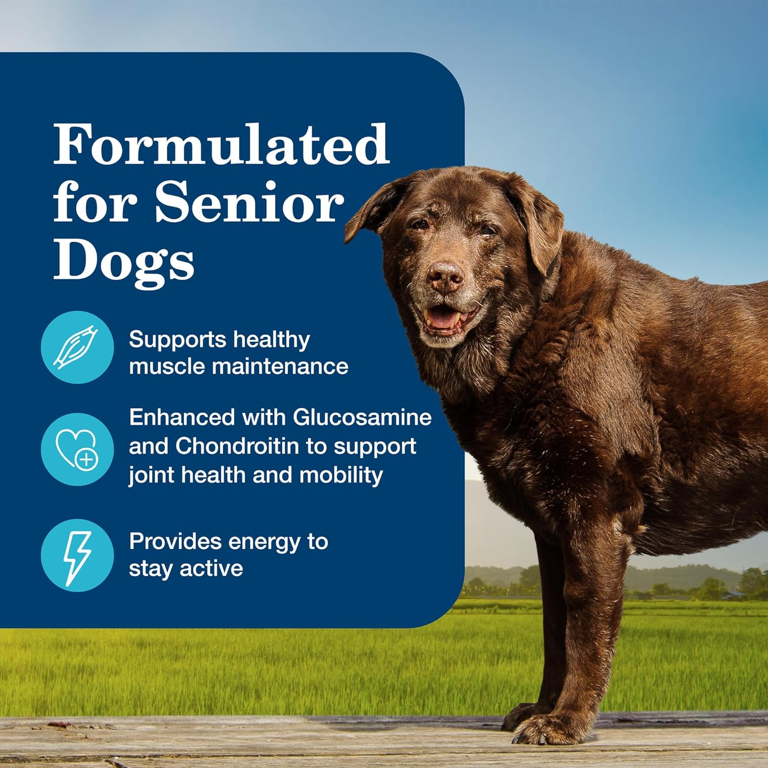 Blue Buffalo Homestyle Recipe Senior Wet Dog Food, Made with Natural Ingredients, Chicken Dinner with Garden Vegetables, 12.5-oz Cans (12 Count)