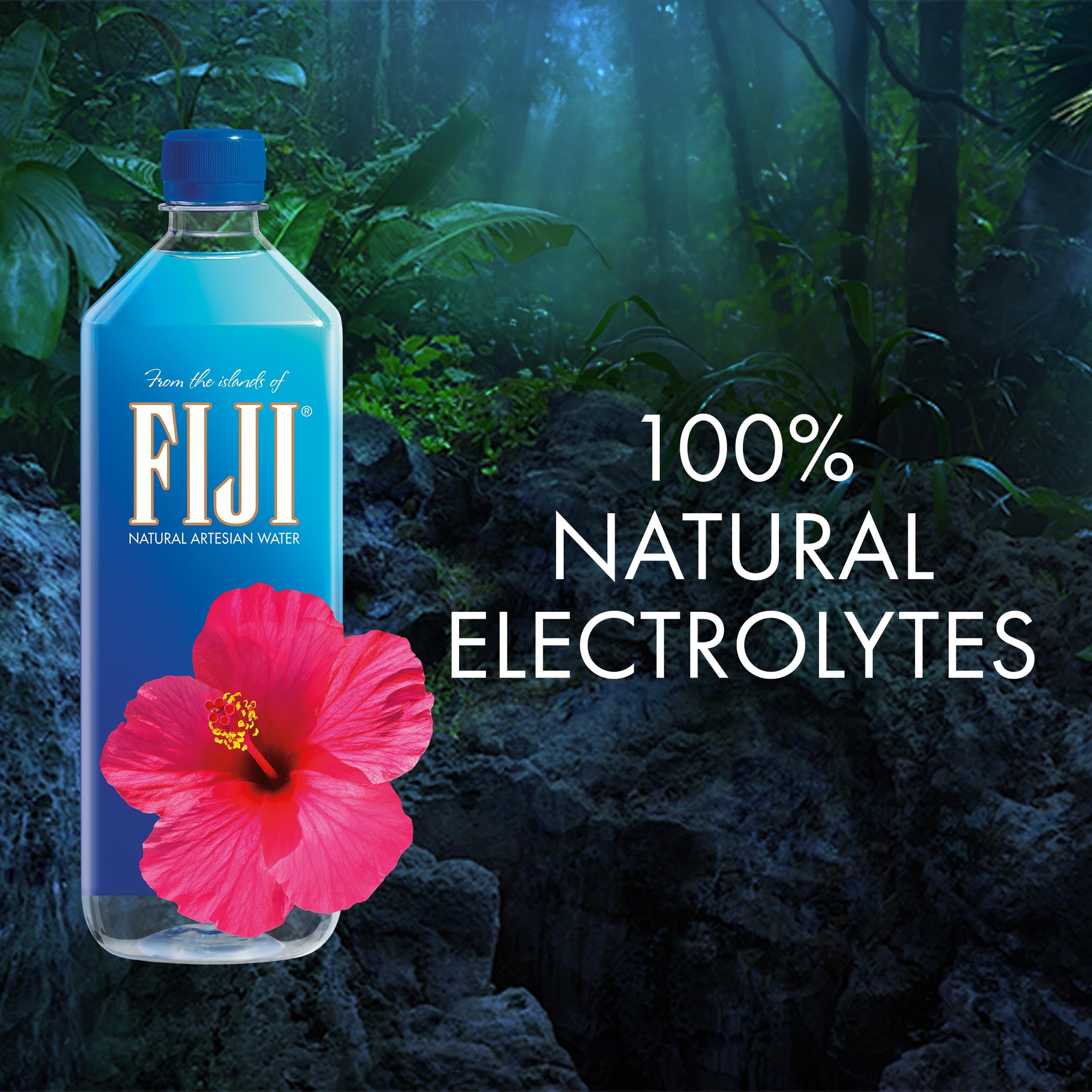 FIJI Natural Artesian Bottled Water 1.5 Liters / 50.7 Fl Ounce (Pack of 12) - 100% Natural Electrolytes