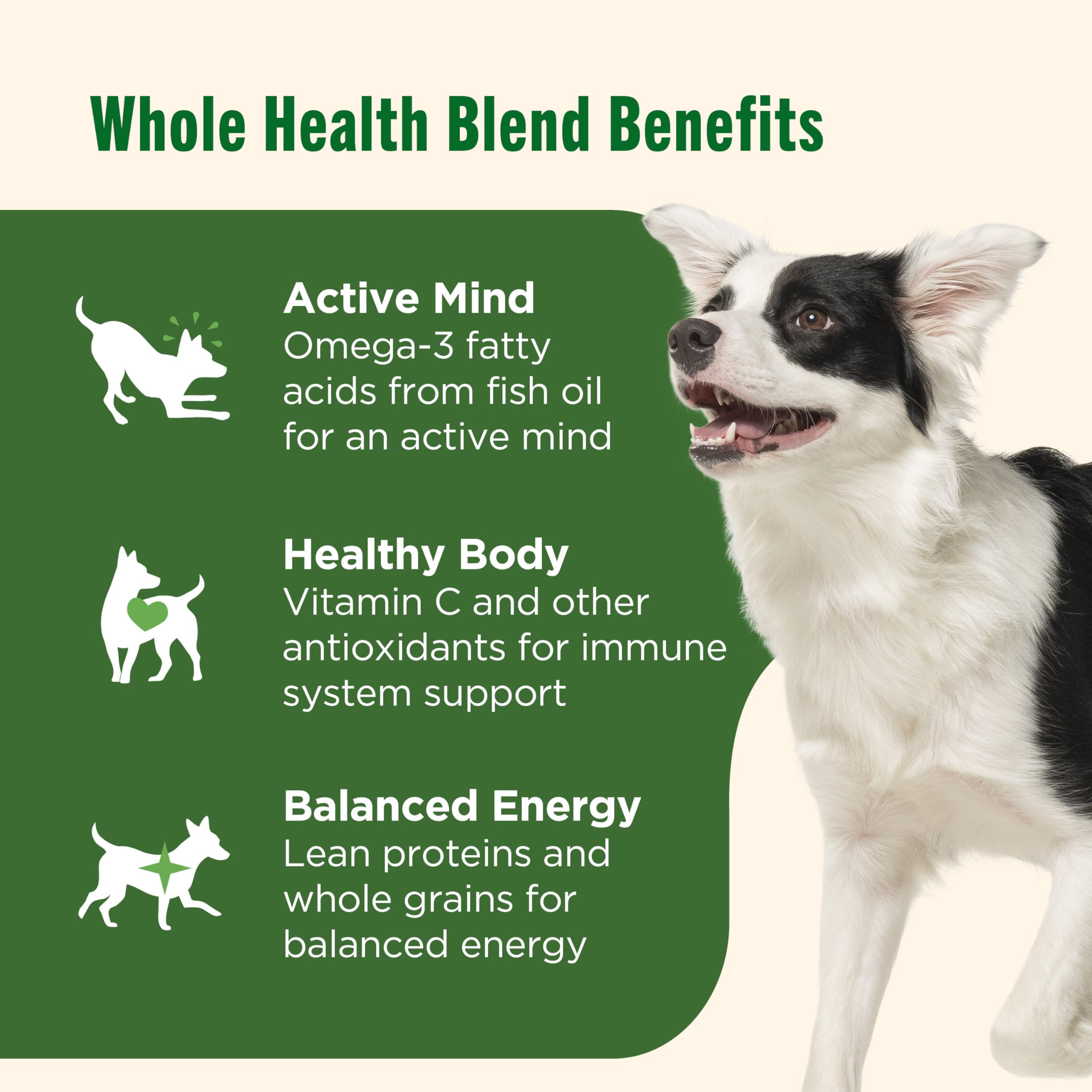 Nutrish Dry Dog Food, Real Chicken & Veggies Recipe Whole Health Blend, 6 lb. Bag (Rachael Ray)