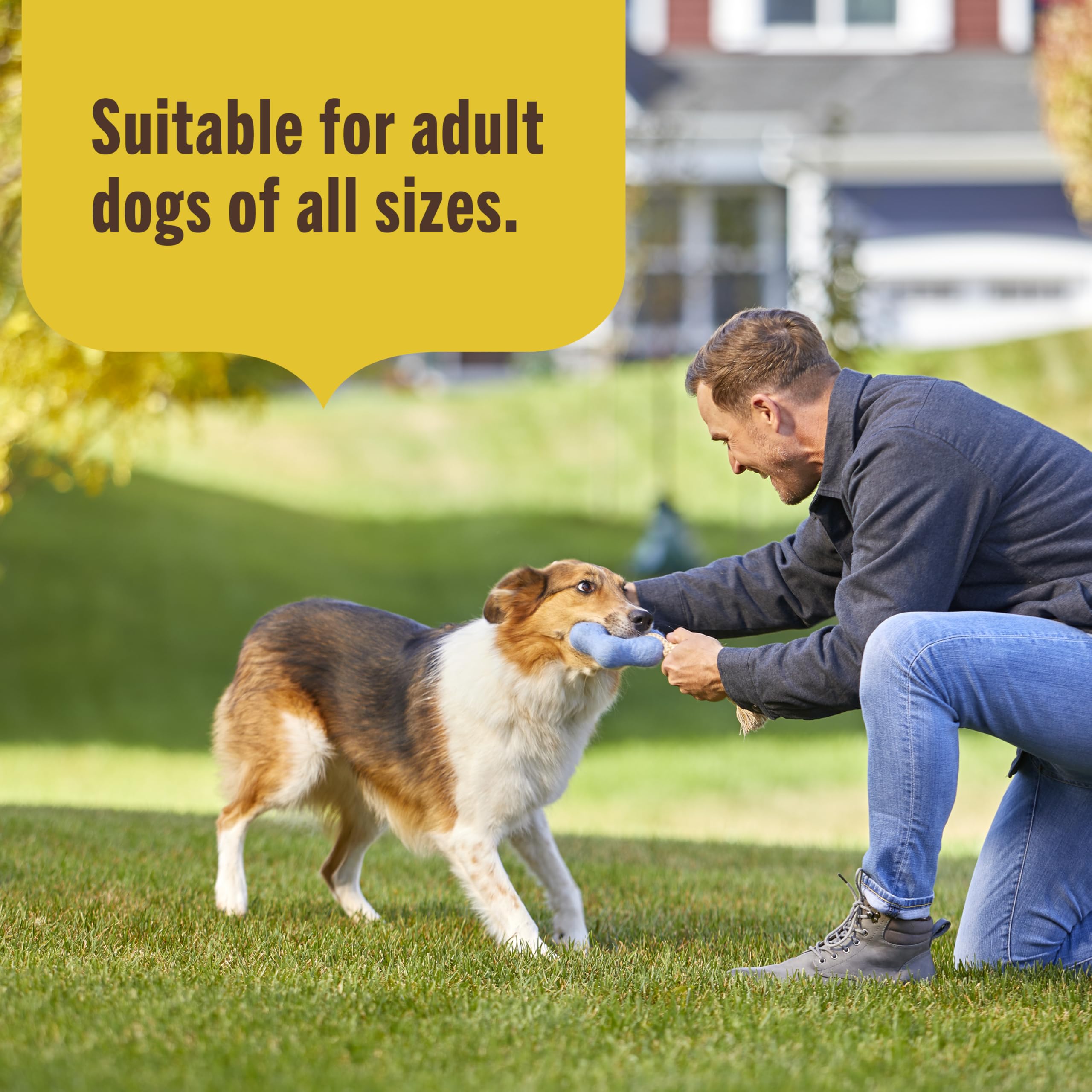 Nutrish Limited Ingredient Lamb Meal & Brown Rice Recipe Dry Dog Food, 14 lb. Bag, Packaging May Vary (Rachael Ray)