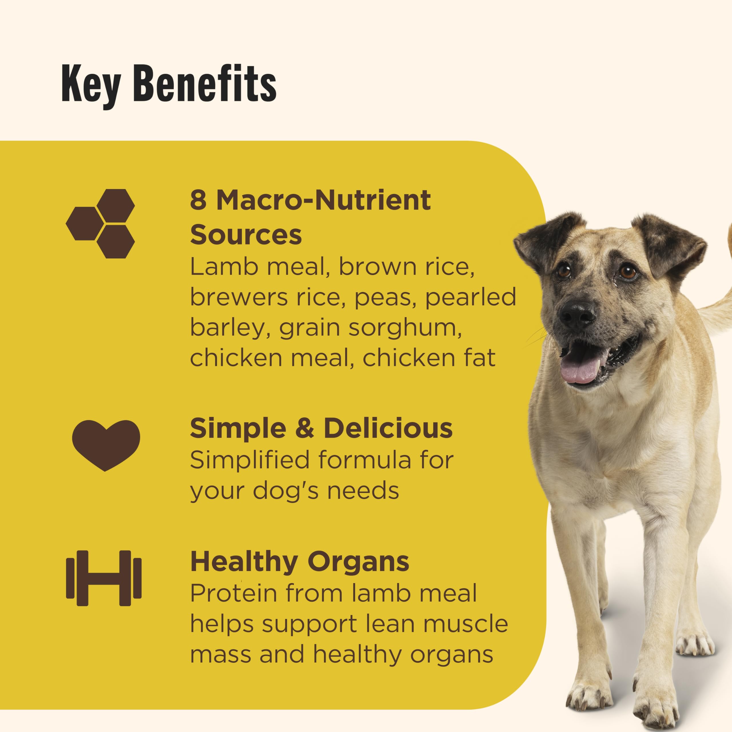 Nutrish Limited Ingredient Lamb Meal & Brown Rice Recipe Dry Dog Food, 14 lb. Bag, Packaging May Vary (Rachael Ray)