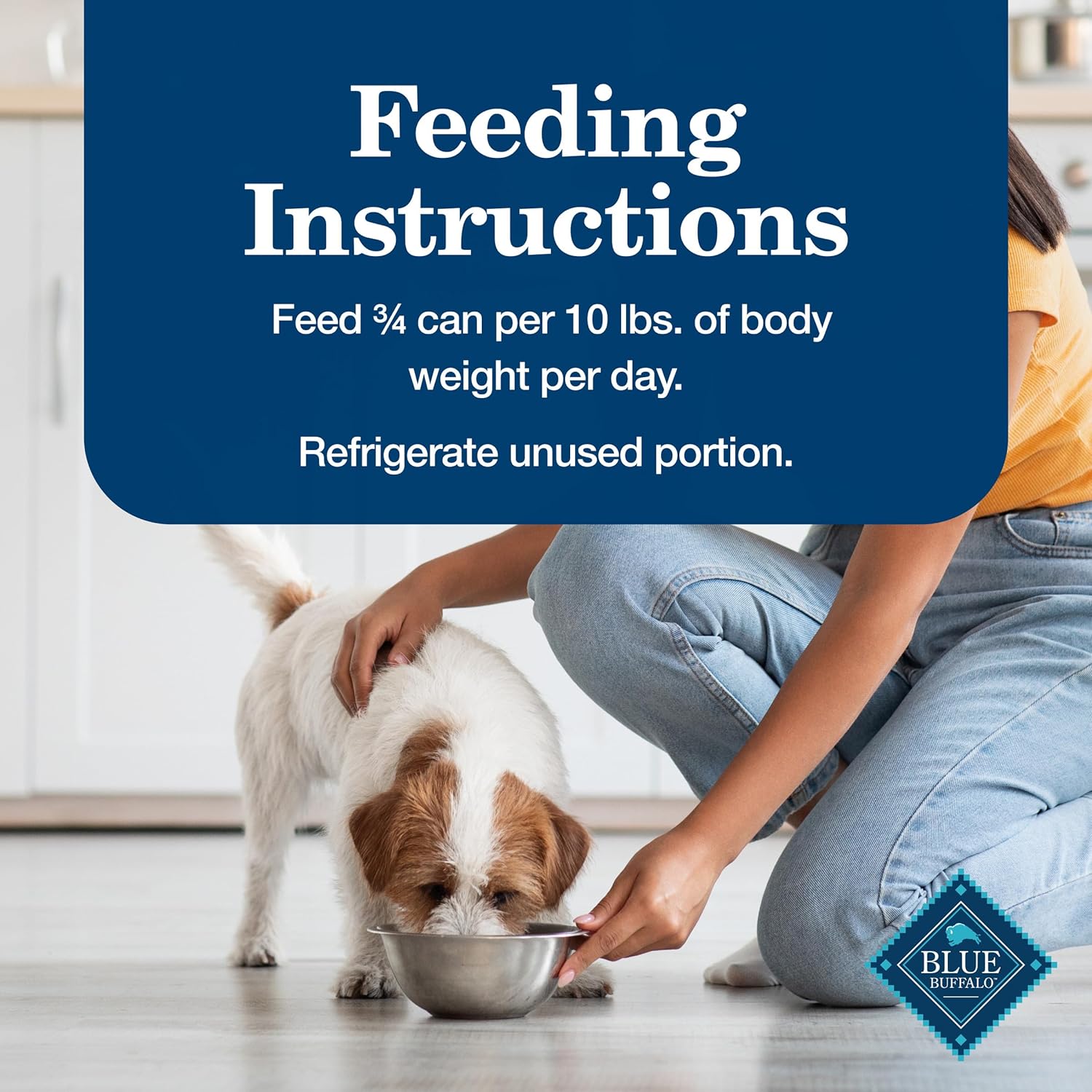 Blue Buffalo Homestyle Recipe Senior Wet Dog Food, Made with Natural Ingredients, Chicken Dinner with Garden Vegetables, 12.5-oz Cans (12 Count)