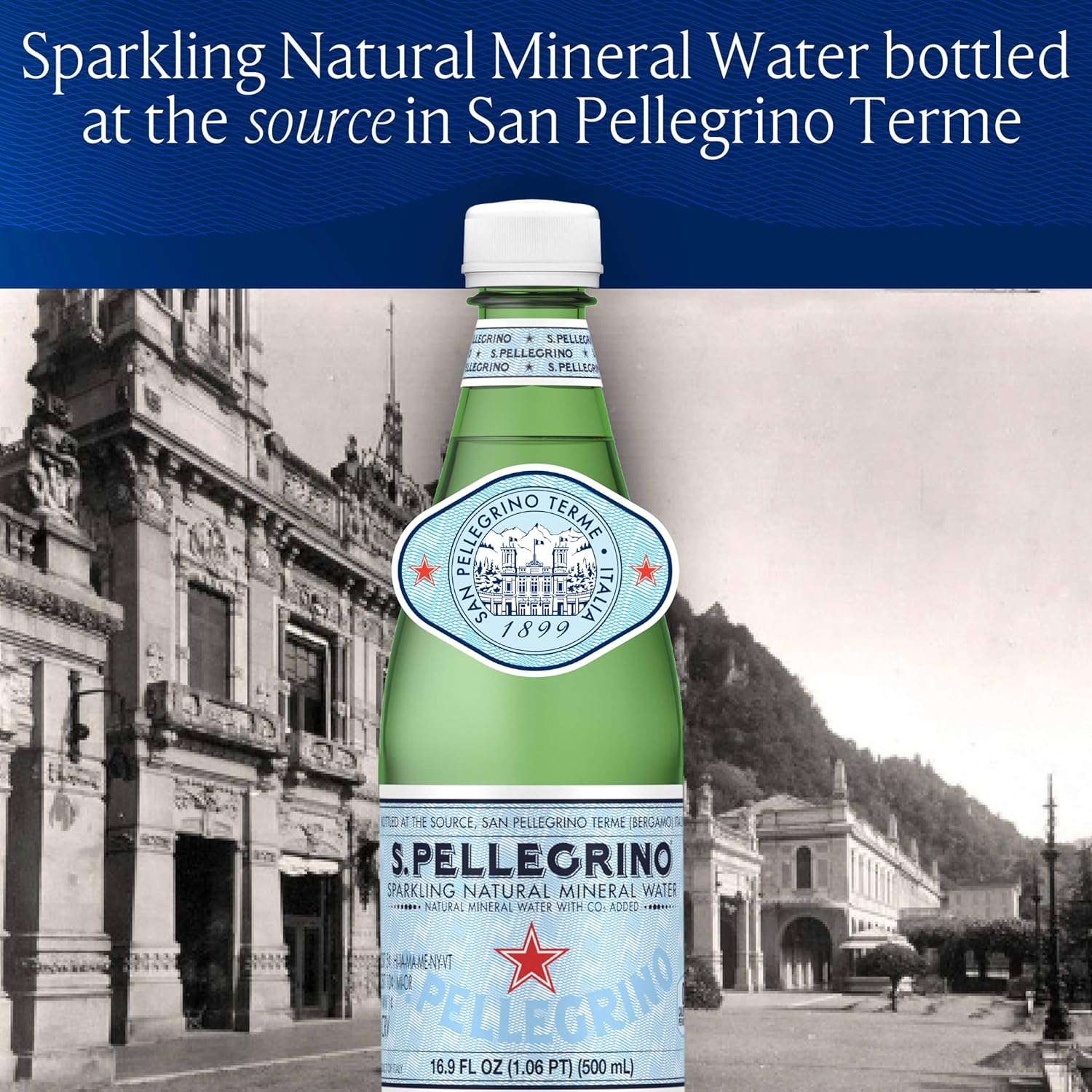 S.Pellegrino Sparkling Natural Mineral Water, 33.8 fl oz. Plastic Bottles (Pack of 12)